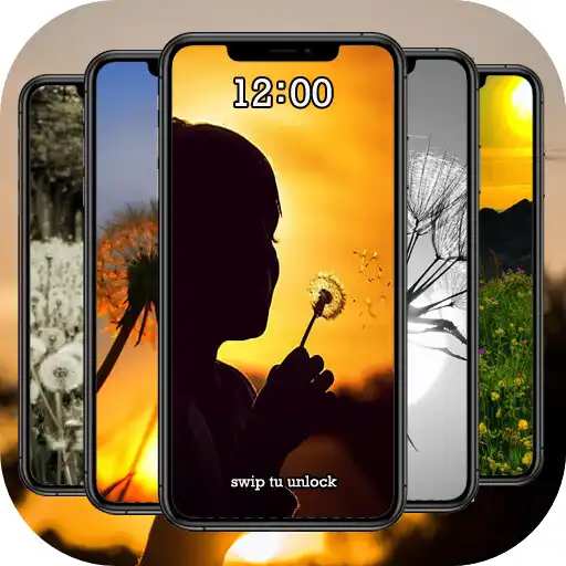 Play Wallpaper Dandelion HD APK