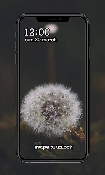 Play Wallpaper Dandelion HD  and enjoy Wallpaper Dandelion HD with UptoPlay