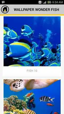 Play Wallpaper Fish HD