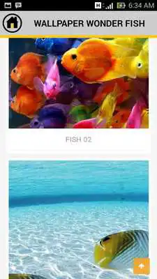 Play Wallpaper Fish HD