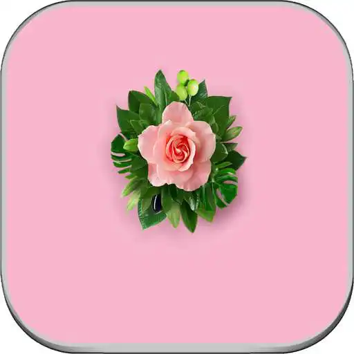 Free play online Wallpaper for Huawei Mate 10 APK