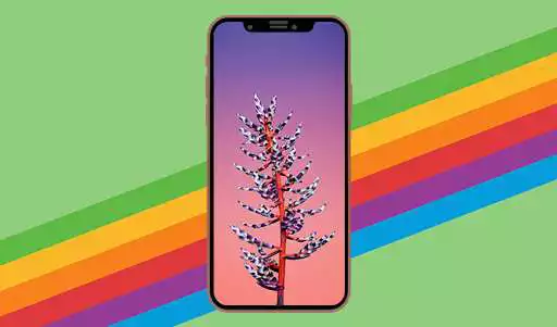 Play wallpaper for Iphone xs/ Iphone xr/ Iphone xs max