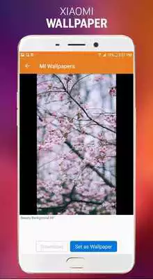 Play Wallpaper for MIUI