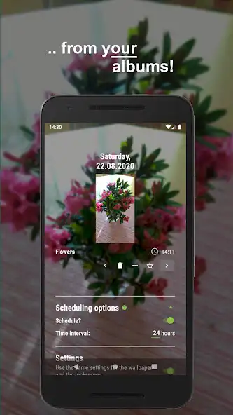 Play Wallpaper (from Albums) as an online game Wallpaper (from Albums) with UptoPlay