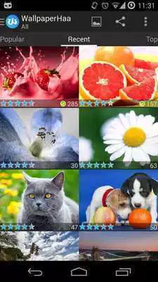 Play WallpaperHaa