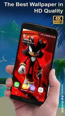 Play Wallpaper HD For Sonic Games