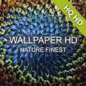 Free play online Wallpaper HD Nature Finest APK