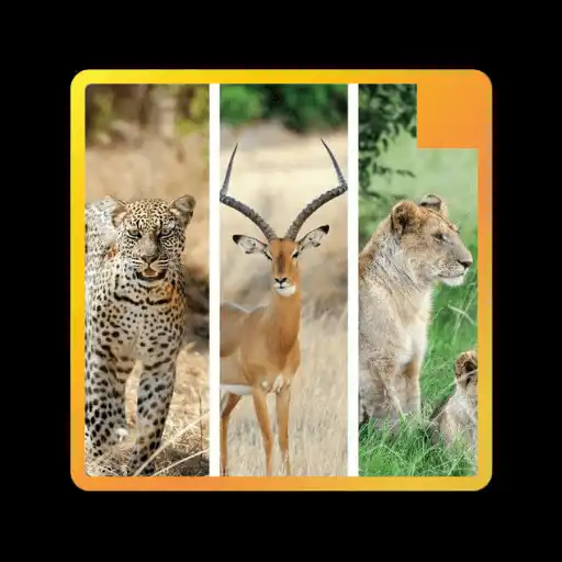 Play Wallpaper Hewan APK