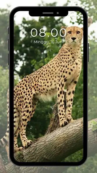 Play Wallpaper Hewan  and enjoy Wallpaper Hewan with UptoPlay