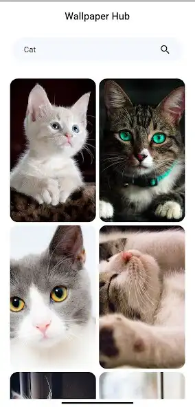 Play Wallpaper Hub 4K HD as an online game Wallpaper Hub 4K HD with UptoPlay