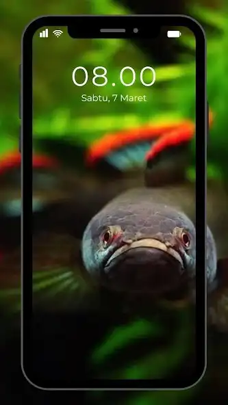 Play Wallpaper Ikan Channa as an online game online Wallpaper Ikan Channa with UptoPlay Play Wallpaper Ikan Channa as an online game Wallpaper Ikan Channa with UptoPlay