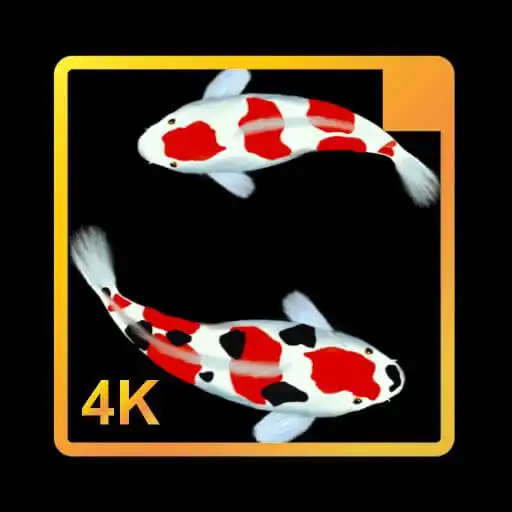 Play Wallpaper Ikan Koi Hidup APK