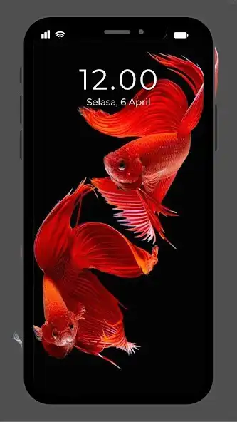 Play Wallpaper Ikan Koi Hidup as an online game online Wallpaper Ikan Koi Hidup with UptoPlay Play Wallpaper Ikan Koi Hidup as an online game Wallpaper Ikan Koi Hidup with UptoPlay
