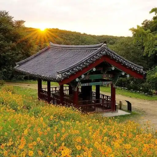 Play Wallpaper Korea: Fondos de Pan APK Play Wallpaper Korea: Fondos de Pan APK