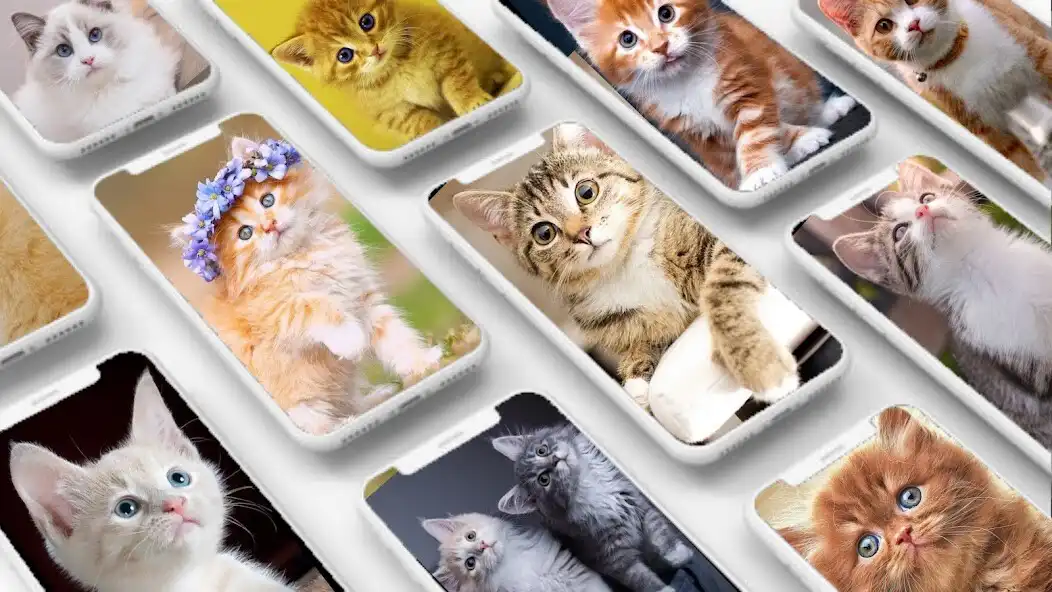 Play Wallpaper Kucing Imut dan Lucu  and enjoy Wallpaper Kucing Imut dan Lucu with UptoPlay