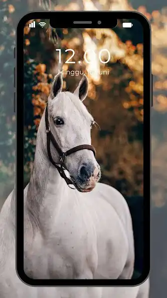 Play Wallpaper Kuda as an online game online Wallpaper Kuda with UptoPlay Play Wallpaper Kuda as an online game Wallpaper Kuda with UptoPlay