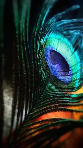 Play Wallpaper Laza - 4K Wallpaper as an online game Wallpaper Laza - 4K Wallpaper with UptoPlay