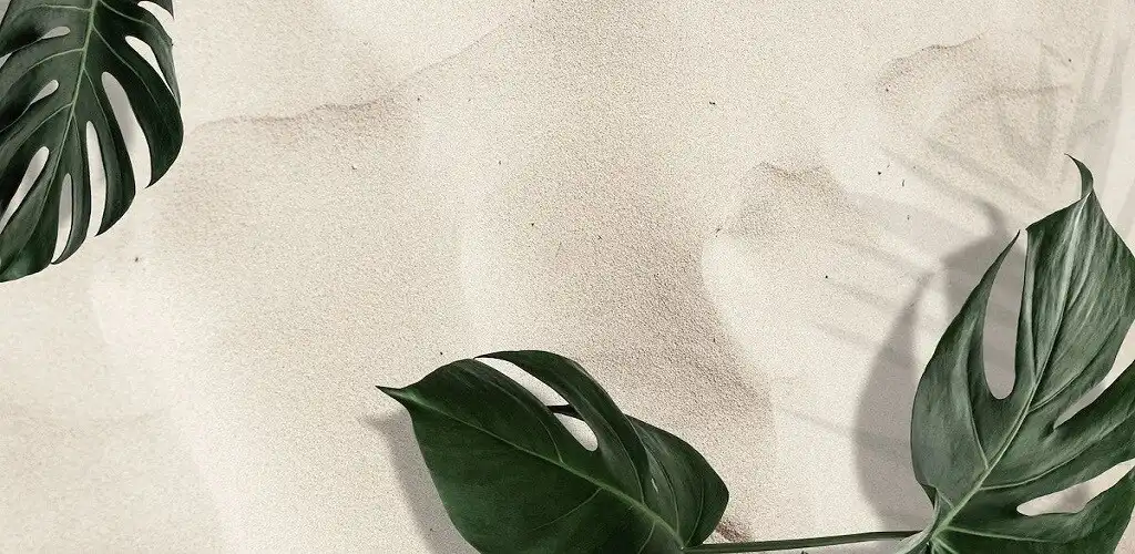 Play Wallpaper Leaf HD and enjoy Wallpaper Leaf HD with UptoPlay Play Wallpaper Leaf HD and enjoy Wallpaper Leaf HD with UptoPlay