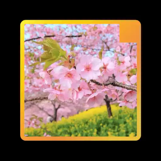 Play Wallpaper Musim Semi APK