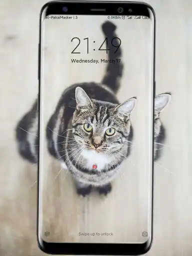 Play Wallpaper Offline Kucing Lucu as an online game Wallpaper Offline Kucing Lucu with UptoPlay