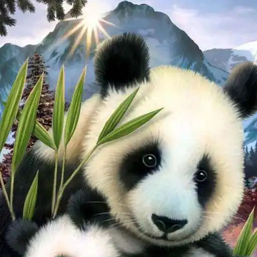 Play Wallpaper Panda Lucu APK Play Wallpaper Panda Lucu APK