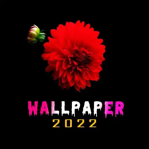 Play Wallpaper Photo - 4K Wallpaper APK Play Wallpaper Photo - 4K Wallpaper APK