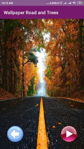 Play Wallpaper Road and Trees  and enjoy Wallpaper Road and Trees with UptoPlay