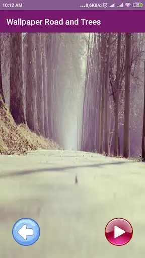 Play Wallpaper Road and Trees as an online game Wallpaper Road and Trees with UptoPlay