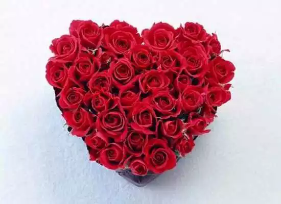 Play wallpaper roses