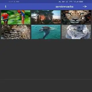 Play WALLPAPERS 2020 as an online game WALLPAPERS 2020 with UptoPlay