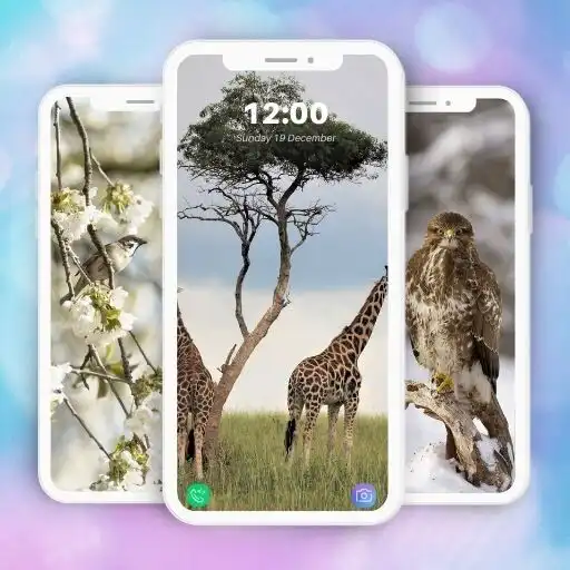 Play Wallpapers Animal APK Play Wallpapers Animal APK