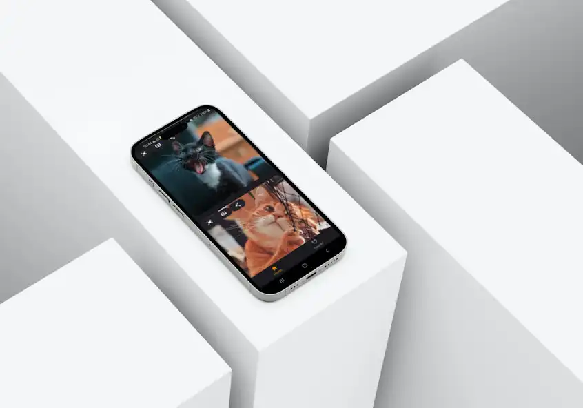 Play Wallpapers Cats 4k as an online game Wallpapers Cats 4k with UptoPlay