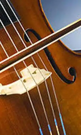 Play APK Wallpapers Cello and enjoy Wallpapers Cello with UptoPlay com.appgroove.CelloWallpapers Play APK Wallpapers Cello and enjoy Wallpapers Cello with UptoPlay com.appgroove.CelloWallpapers