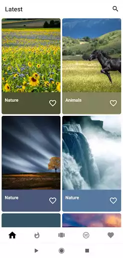 Play Wallpaper as an online game Wallpaper with UptoPlay