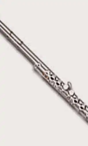 Play APK Wallpapers Flute  and enjoy Wallpapers Flute with UptoPlay com.appgroove.FluteWallpapers