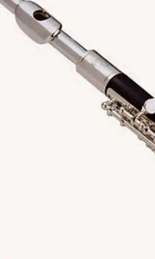 Play APK Wallpapers Flute  and enjoy Wallpapers Flute with UptoPlay com.appgroove.FluteWallpapers