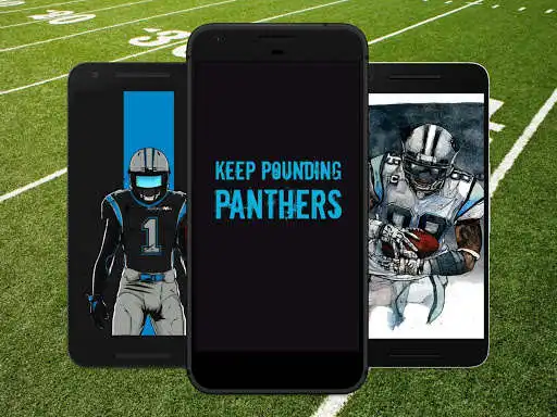 Play Wallpapers for Carolina Panthers Fans  and enjoy Wallpapers for Carolina Panthers Fans with UptoPlay