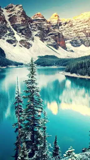 Play Wallpapers for Galaxy C9 Pro Play Wallpapers for Galaxy C9 Pro