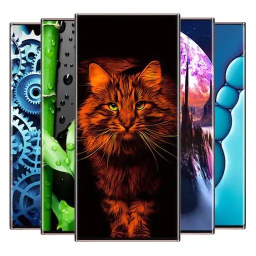 Play Wallpapers For Galaxy S22 APK