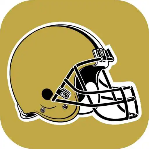 Free play online Wallpapers for New Orleans Saints Fans APK