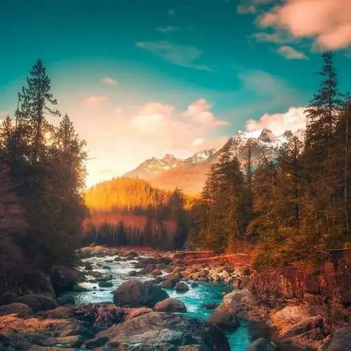 Play Wallpapers for Nokia APK Play Wallpapers for Nokia APK
