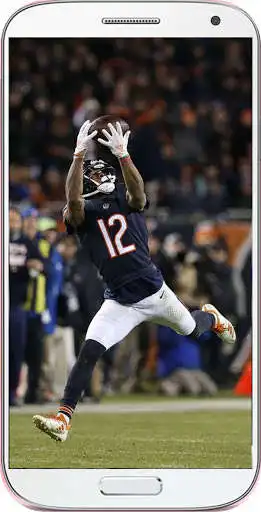 Play Wallpapers for The Bears as an online game Wallpapers for The Bears with UptoPlay