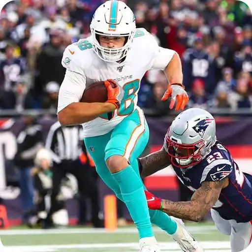 Play Wallpapers for The Dolphins APK