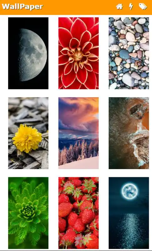 Play WallPapers from Micromax