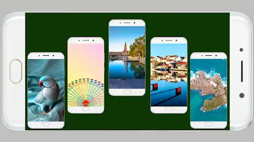 Play Wallpapers Full HD as an online game Wallpapers Full HD with UptoPlay