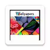 Free play online Wallpapers HD 2018 APK