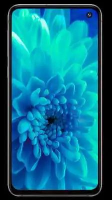 Play Wallpapers HD 2019