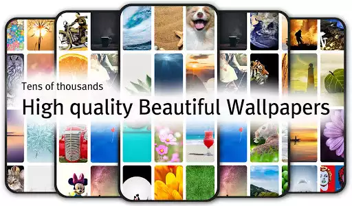 Play Wallpapers HD (Backgrounds HD)  and enjoy Wallpapers HD (Backgrounds HD) with UptoPlay