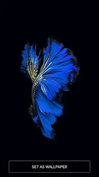 Play Wallpapers iOS 10 Full HD  and enjoy Wallpapers iOS 10 Full HD with UptoPlay
