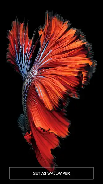 Play Wallpapers iOS 10 Full HD as an online game Wallpapers iOS 10 Full HD with UptoPlay